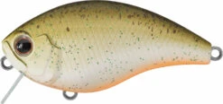 Evergreen International CH-1 Waking Crankbait 21 Evergreen International CH-1 Waking Crankbait -Vis en Kleding Shop evergreen CH 1 438 root beer