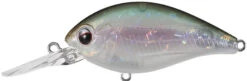 Evergreen International CR-8 Medium Diving Crankbait -Vis en Kleding Shop evergreen CR 10 440 ghost wakasagi 3d9928f0 9fc4 4dde bf94 43a592b3e0c6