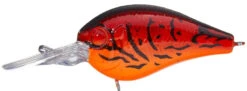 Evergreen International PC-5 Piccolo Crankbait -Vis en Kleding Shop fire craw 8e6bddab 2c2f 4517 8b7a 4a41f94cceda