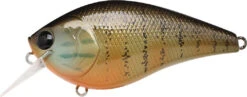 Lucky Craft LC 2.5 Shallow Squarebill Crankbait 37 Lucky Craft LC 2.5 Shallow Squarebill Crankbait -Vis en Kleding Shop gold pumpkin seed
