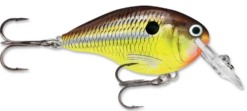 Rapala DT Series Crankbait DT4 -Vis en Kleding Shop hot mustard 2fba7517 cf40 40e0 b101 cdae8a8ef9bc