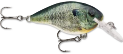 Rapala DT Series Crankbait DT4 -Vis en Kleding Shop live bluegill 081b953a 2495 4e91 8399 d3acc222bfc4