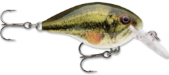 Rapala DT Series Crankbait DT4 -Vis en Kleding Shop live largemouth bass 2f259570 db69 465c b5d8 9a0aa813ca36