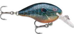Rapala DT Series Crankbait DT4 -Vis en Kleding Shop live pumpkinseed 329bf6f4 4258 4a12 9973 80c87ede8f9b