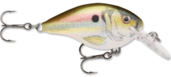 Rapala DT Series Crankbait DT4 -Vis en Kleding Shop live river shad 99811d93 def6 46c2 847f 2cc70509e248