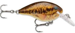 Rapala DT Series Crankbait DT4 -Vis en Kleding Shop live smallmouth bass e408e51d bf23 4c82 83cd 7f8d7407e433