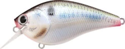 Lucky Craft LC 2.5 Shallow Squarebill Crankbait 35 Lucky Craft LC 2.5 Shallow Squarebill Crankbait -Vis en Kleding Shop live threadfin shad