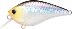 Lucky Craft LC 2.5 Shallow Squarebill Crankbait 33 Lucky Craft LC 2.5 Shallow Squarebill Crankbait -Vis en Kleding Shop ms 2Bimpulse 2Bshad