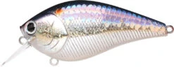 Lucky Craft LC 2.5 Shallow Squarebill Crankbait 32 Lucky Craft LC 2.5 Shallow Squarebill Crankbait -Vis en Kleding Shop ms american shad