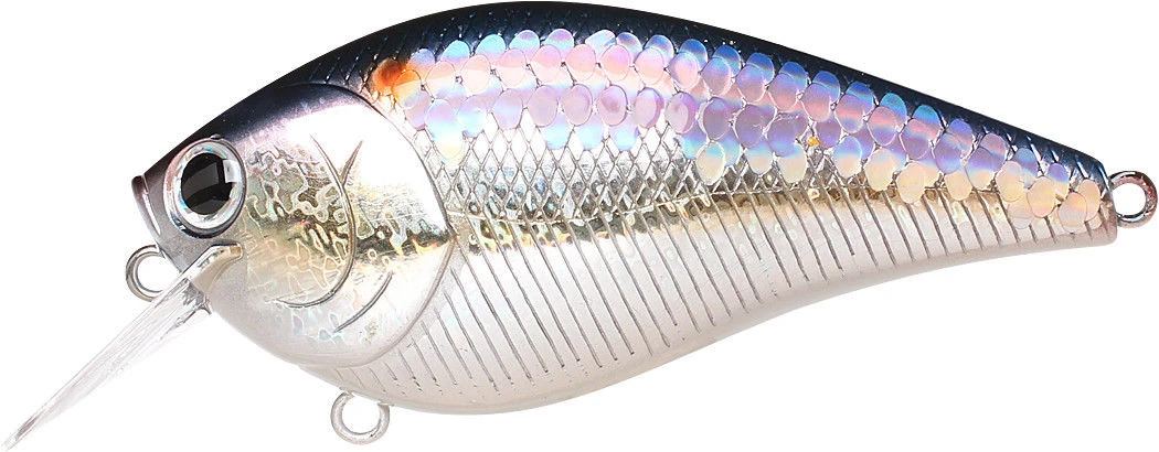 Lucky Craft LC 2.5 Shallow Squarebill Crankbait 13 Lucky Craft LC 2.5 Shallow Squarebill Crankbait - Image 13