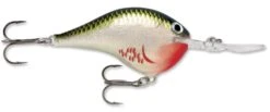 Rapala DT Series Crankbait DT14 23 Rapala DT Series Crankbait DT14 -Vis en Kleding Shop rapala dt10 bleeding olive shiner 070d001b e721 4ee2 9f5c ce93a9d12d56