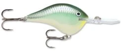 Rapala DT Series Crankbait DT14 24 Rapala DT Series Crankbait DT14 -Vis en Kleding Shop rapala dt10 blueback herring 5845766e 1d15 4fec 8c83 798c4061218c