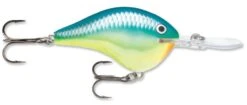 Rapala DT Series Crankbait DT14 27 Rapala DT Series Crankbait DT14 -Vis en Kleding Shop rapala dt10 caribbean shad 257fc072 197c 4274 86ed 0ef950c63cc0
