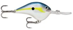 Rapala DT Series Crankbait DT14 35 Rapala DT Series Crankbait DT14 -Vis en Kleding Shop rapala dt10 helsinki shad a427dadf dc8f 4519 b6fd 0cc072acee6a