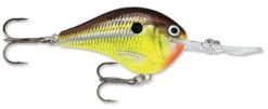 Rapala DT Series Crankbait DT14 36 Rapala DT Series Crankbait DT14 -Vis en Kleding Shop rapala dt10 hot mustard 02f0ad77 dcc4 488f 98e0 686fa6c67e93