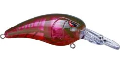 SPRO Mike McClelland RkCrawler 50 Medium Diving Crankbait -Vis en Kleding Shop red river craw