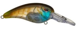 SPRO Mike McClelland RkCrawler MD 55 Medium Diving Crankbait -Vis en Kleding Shop rs 2 a240553c 9eb6 401b b839 39e4423478fe