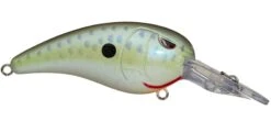 SPRO Mike McClelland RkCrawler MD 55 Medium Diving Crankbait -Vis en Kleding Shop rs c0c1e660 d2e1 4c5f afb0 4923ac81f101