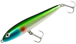 Rebel Jumpin' Minnow Topwater Bait 4 1/2 Inch Topwater Walker -Vis en Kleding Shop t20spd
