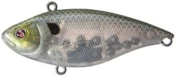 River2Sea Ruckus 3/4 Oz. Lipless Crankbait -Vis en Kleding Shop t 2B1000