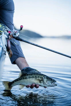 Temple Fork Outfitters Tactical Elite Bass Baitcasting Rods -Vis en Kleding Shop tfo tactical elite bass bottom banner lifestyle 1 1