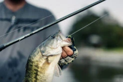 Temple Fork Outfitters Tactical Elite Bass Spinning Rods -Vis en Kleding Shop tfo tactical elite bass bottom banner lifestyle 5 1 8cce2bf0 8629 4e5b 8764 3e02c6dac99d