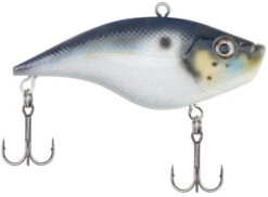 Berkley Warpig Lipless Crankbait 25 Berkley Warpig Lipless Crankbait -Vis en Kleding Shop warpig blue back