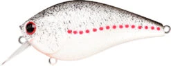 Lucky Craft LC 2.5 Shallow Squarebill Crankbait 39 Lucky Craft LC 2.5 Shallow Squarebill Crankbait -Vis en Kleding Shop white 2Bshad